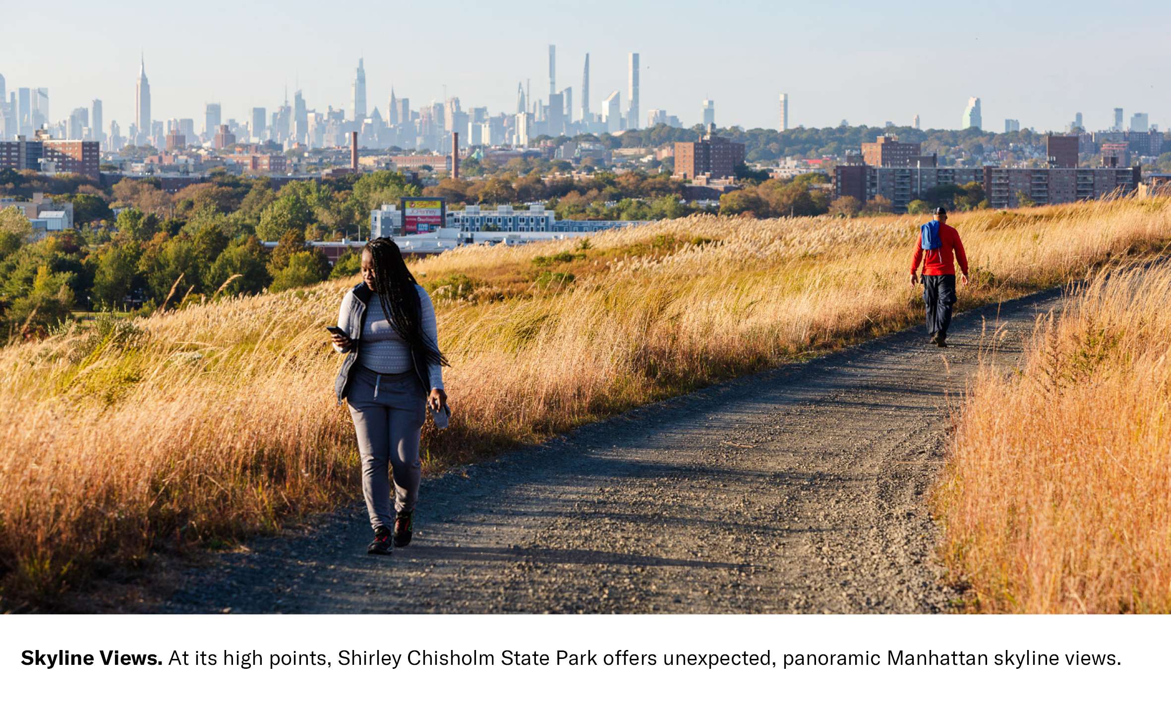 Shirley Chisholm State Park Biennal